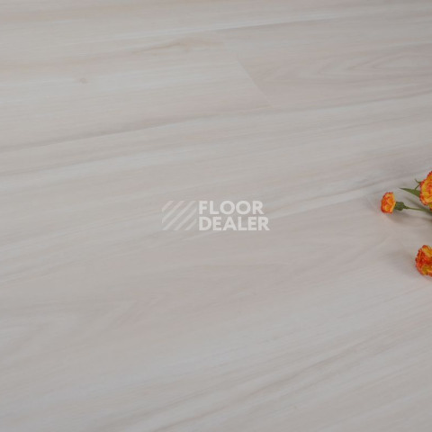 Evofloor Optima Click 4.2мм Дуб Айвори фото 6 | FLOORDEALER