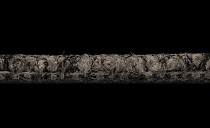 Balsan Progression 750 фото 3 | FLOORDEALER