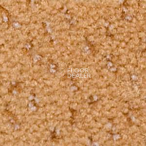 Ковролин Infloor Como 250 фото 1 | FLOORDEALER