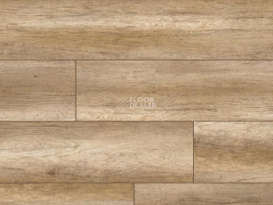Classen Arteo 8XL WR 54814 Sipadan Oak /8XL фото 1 | FLOORDEALER