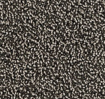 Ковролин Desso Cassini 9925 фото 1 | FLOORDEALER