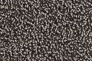 Ковролин Desso Cassini 9925 фото  | FLOORDEALER