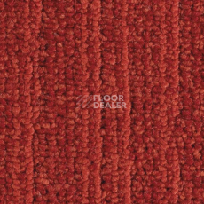 Ковровая плитка Balsan Jungle 560 фото 1 | FLOORDEALER
