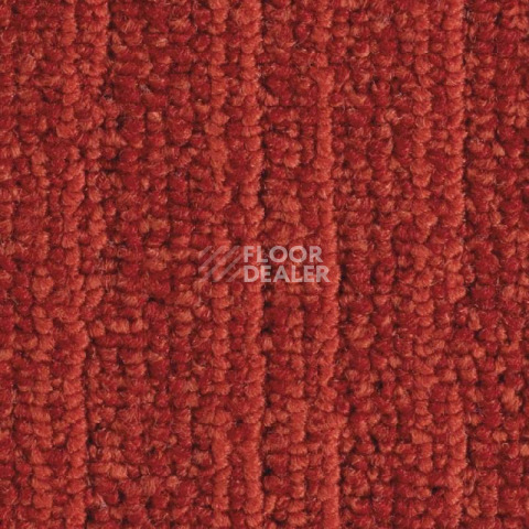 Ковровая плитка Balsan Jungle 560 фото 1 | FLOORDEALER