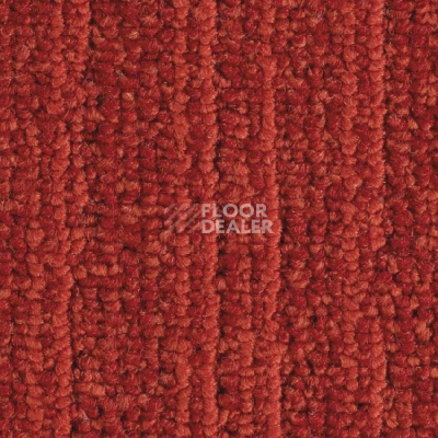 Ковровая плитка Balsan Jungle 560 фото 1 | FLOORDEALER