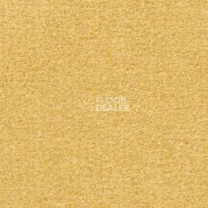 Ковролин Radici Montecarlo 12 фото 1 | FLOORDEALER