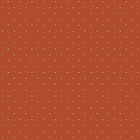 Ковролин Big Carus SE 008-21 c 05 фото 1 | FLOORDEALER