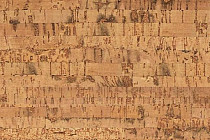 Пробковое покрытие Eco Cork LINEA фото 1 | FLOORDEALER