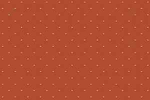 Ковролин Big Carus SE 008-21 c 05 фото  | FLOORDEALER