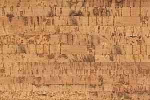 Пробковое покрытие Eco Cork LINEA фото  | FLOORDEALER