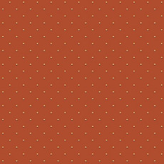 Ковролин Big Carus SE 008-21 c 05 фото 1 | FLOORDEALER