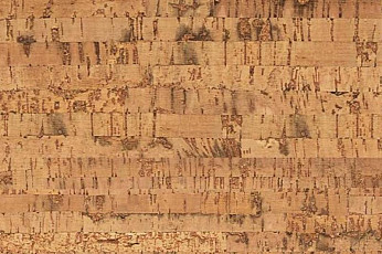 Eco Cork LINEA фото 1 | FLOORDEALER