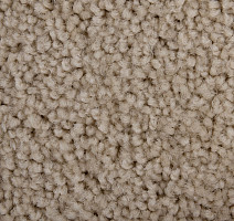 Haima Noble 69 фото 3 | FLOORDEALER