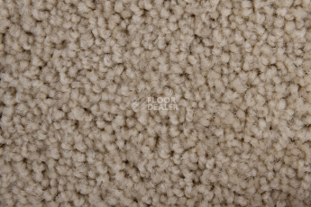 Haima Noble 69 фото 3 | FLOORDEALER