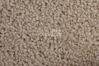Haima Noble 69 фото 3 | FLOORDEALER