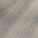 Ламинат Parador Trendtime 6 1744707 Дуб Studioline Светло-серый  | FLOORDEALER