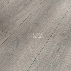 Ламинат Parador Trendtime 6 1744707 Дуб Studioline Светло-серый фото 1 | FLOORDEALER