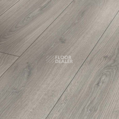 Ламинат Parador Trendtime 6 1744707 Дуб Studioline Светло-серый фото 1 | FLOORDEALER