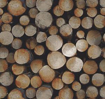 Ковролин Ege Highline Nature rf 52952202 фото 1 | FLOORDEALER