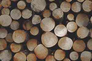 Ковролин Ege Highline Nature rf 52952202 фото  | FLOORDEALER