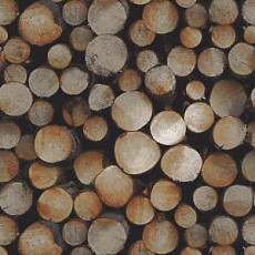 Ковролин Ege Highline Nature rf 52952202 фото 1 | FLOORDEALER