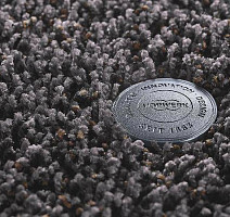 Ковролин Vorwerk Superior 1041 Vorwerk 5x00 фото 1 | FLOORDEALER