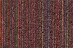 Ковролин Balsan Baya Baya 580 фото  | FLOORDEALER