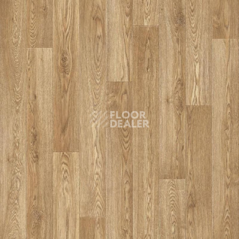 Линолеум Tarkett Sprint Pro Baden 1 фото 1 | FLOORDEALER