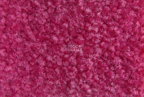 Balsan Bolero 555 фото 2 | FLOORDEALER