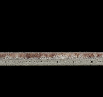 Flotex Colour s 290023 Calgary Espresso фото 4 | FLOORDEALER