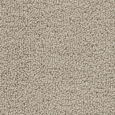 Ковролин AW Pearl 30 фото 1 | FLOORDEALER