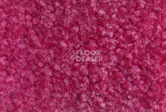 Balsan Bolero 555 фото 2 | FLOORDEALER