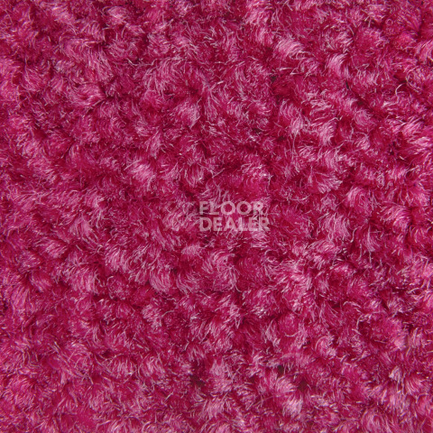 Balsan Bolero 555 фото 2 | FLOORDEALER