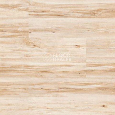 Wood MAPLE фото 4 | FLOORDEALER