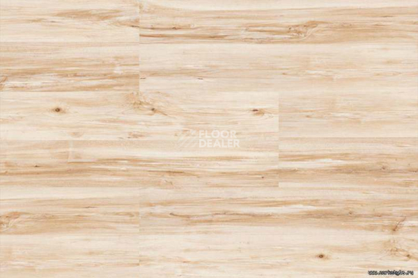 Corkstyle Wood MAPLE фото 4 | FLOORDEALER