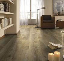 Kronotex Mammut d4794 Дуб Натуральный Макро фото 3 | FLOORDEALER