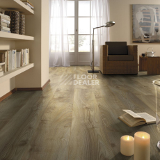 Kronotex Mammut d4794 Дуб Натуральный Макро фото 3 | FLOORDEALER
