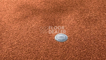 Ковролин Vorwerk Superior 1064/Lyrica Vorwerk 2f34 фото 1 | FLOORDEALER