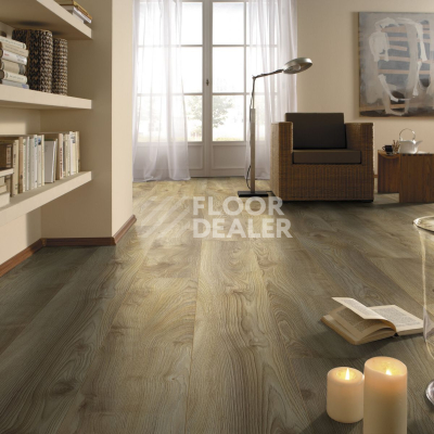 Ламинат Kronotex Mammut d4794 Дуб Натуральный Макро фото 3 | FLOORDEALER