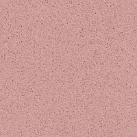 Линолеум Tarkett Primo Plus 307 фото 1 | FLOORDEALER