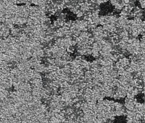 Ковровая плитка Balsan Zoom HD - CTB - Planks 910 фото 1 | FLOORDEALER