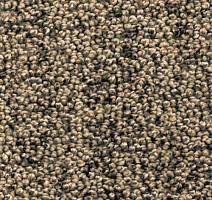 Ковролин AW Dakota 45 фото 1 | FLOORDEALER