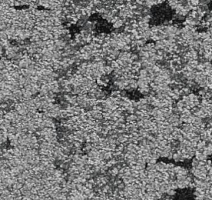 Ковровая плитка Balsan Zoom HD - CTB - Planks 910 фото 1 | FLOORDEALER