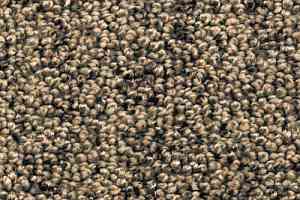 Ковролин AW Dakota 45 фото  | FLOORDEALER