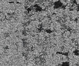 Ковровая плитка Balsan Zoom HD - CTB - Planks 910 фото 1 | FLOORDEALER