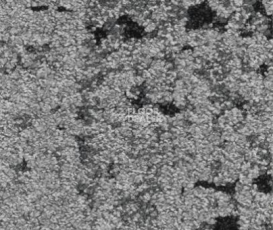 Ковровая плитка Balsan Zoom HD - CTB - Planks 910 фото 1 | FLOORDEALER