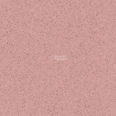 Tarkett Primo Plus 307 фото 1 | FLOORDEALER