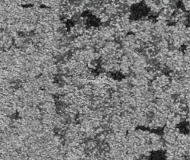 Balsan Zoom HD - CTB - Planks 910 фото 1 | FLOORDEALER