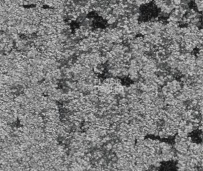 Ковровая плитка Balsan Zoom HD - CTB - Planks 910 фото 1 | FLOORDEALER