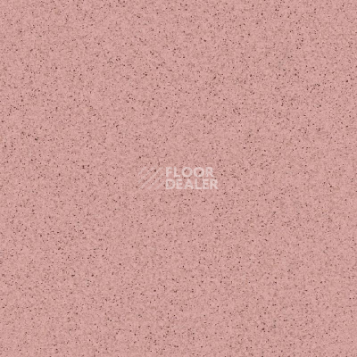 Линолеум Tarkett Primo Plus 307 фото 1 | FLOORDEALER